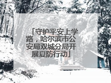守护平安上学路，哈尔滨市公安局双城分局开展夏防行动
