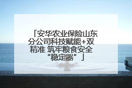 安华农业保险山东分公司科技赋能+双精准 筑牢粮食安全“稳定器”
