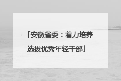 安徽省委：着力培养选拔优秀年轻干部