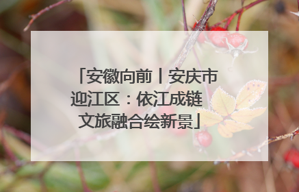安徽向前丨安庆市迎江区：依江成链 文旅融合绘新景