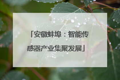 安徽蚌埠：智能传感器产业集聚发展