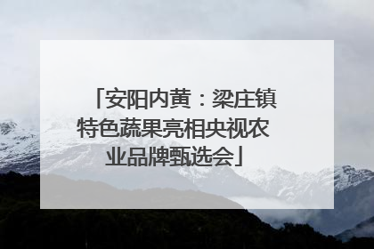 安阳内黄：梁庄镇特色蔬果亮相央视农业品牌甄选会