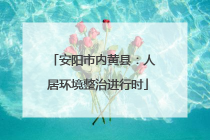 安阳市内黄县：人居环境整治进行时