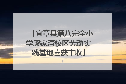 宜章县第八完全小学廖家湾校区劳动实践基地喜获丰收