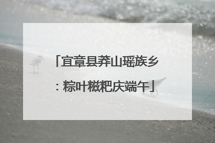 宜章县莽山瑶族乡：粽叶糍粑庆端午