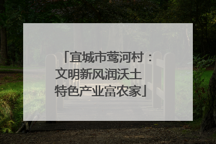 宜城市莺河村：文明新风润沃土 特色产业富农家