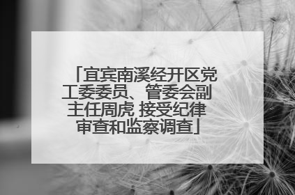宜宾南溪经开区党工委委员、管委会副主任周虎 接受纪律审查和监察调查