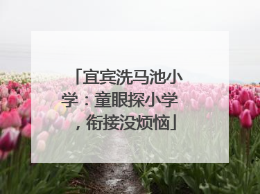 宜宾洗马池小学：童眼探小学，衔接没烦恼