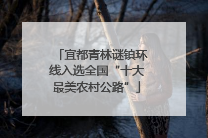 宜都青林谜镇环线入选全国“十大最美农村公路”