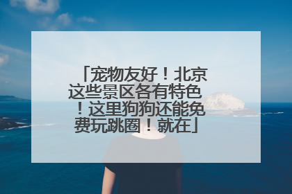 宠物友好！北京这些景区各有特色！这里狗狗还能免费玩跳圈！就在