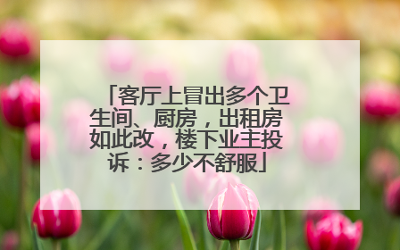 客厅上冒出多个卫生间、厨房，出租房如此改，楼下业主投诉：多少不舒服