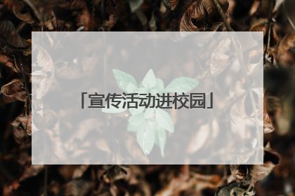 宣传活动进校园