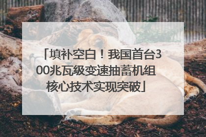 填补空白！我国首台300兆瓦级变速抽蓄机组核心技术实现突破