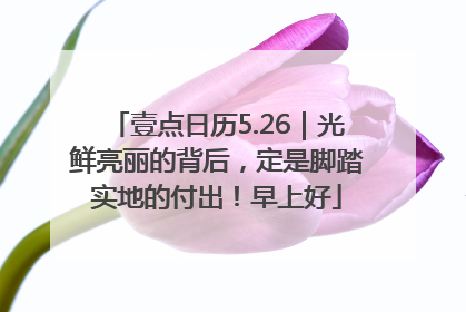 壹点日历5.26｜光鲜亮丽的背后，定是脚踏实地的付出！早上好