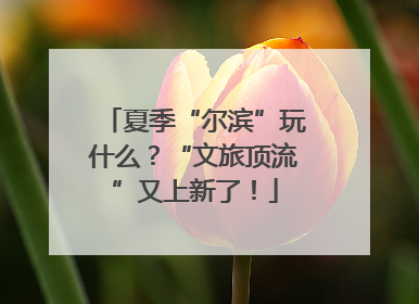 夏季“尔滨”玩什么？“文旅顶流”又上新了！