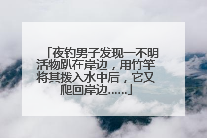 夜钓男子发现一不明活物趴在岸边，用竹竿将其拨入水中后，它又爬回岸边……
