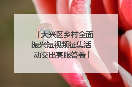 大兴区乡村全面振兴短视频征集活动交出亮眼答卷