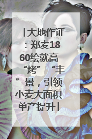 大地作证：郑麦1860绘就高“烤”“丰”景，引领小麦大面积单产提升