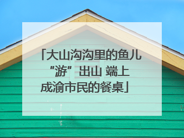 大山沟沟里的鱼儿 “游”出山 端上成渝市民的餐桌