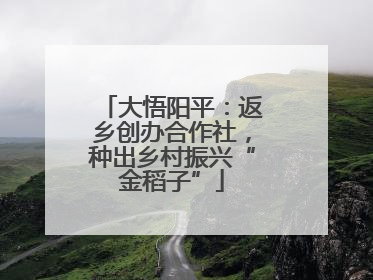 大悟阳平：返乡创办合作社，种出乡村振兴“金稻子”