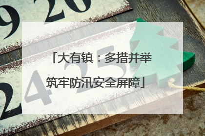 大有镇：多措并举筑牢防汛安全屏障
