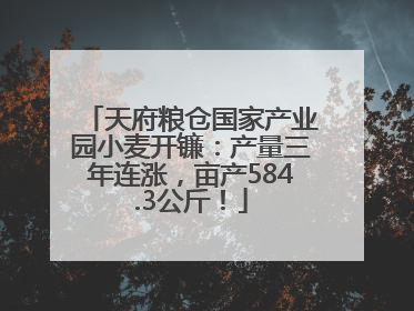 天府粮仓国家产业园小麦开镰：产量三年连涨，亩产584.3公斤！