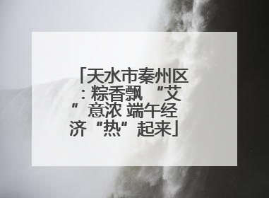 天水市秦州区：粽香飘 “艾”意浓 端午经济“热”起来