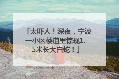太吓人！深夜，宁波一小区楼道里惊现1.5米长大白蛇！