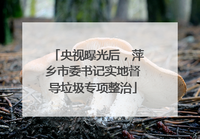 央视曝光后，萍乡市委书记实地督导垃圾专项整治