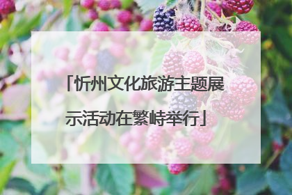 忻州文化旅游主题展示活动在繁峙举行