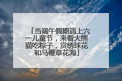 当端午假期遇上六一儿童节，来看大熊猫吃粽子，赏绣球花和马鞭草花海