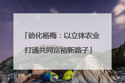 德化杨梅：以立体农业打通共同富裕新路子