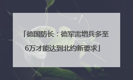 德国防长：德军需增兵多至6万才能达到北约新要求