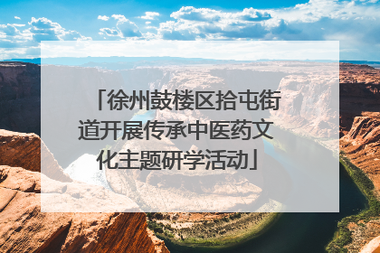徐州鼓楼区拾屯街道开展传承中医药文化主题研学活动