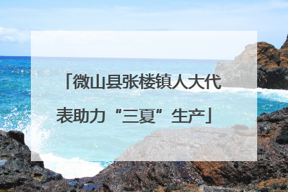 微山县张楼镇人大代表助力“三夏”生产