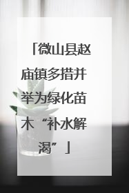 微山县赵庙镇多措并举为绿化苗木“补水解渴”
