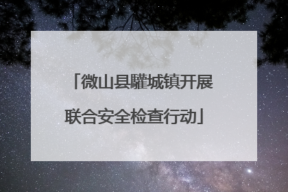 微山县驩城镇开展联合安全检查行动