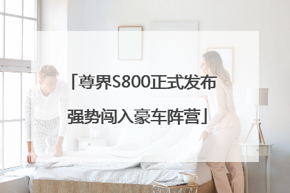 尊界S800正式发布 强势闯入豪车阵营