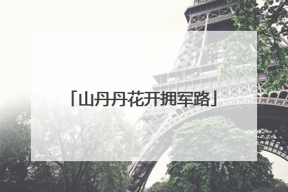 山丹丹花开拥军路