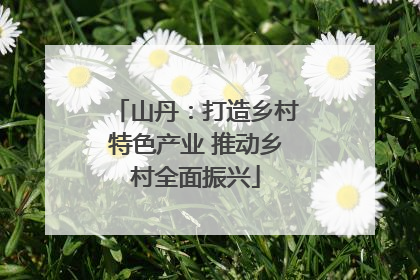 山丹：打造乡村特色产业 推动乡村全面振兴