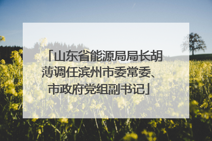 山东省能源局局长胡薄调任滨州市委常委、市政府党组副书记