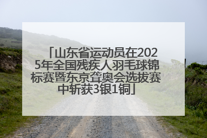 山东省运动员在2025年全国残疾人羽毛球锦标赛暨东京聋奥会选拔赛中斩获3银1铜