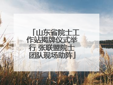 山东省院士工作站揭牌仪式举行 张联盟院士团队现场助阵