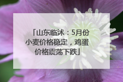 山东临沭：5月份小麦价格稳定，鸡蛋价格震荡下跌