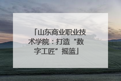 山东商业职业技术学院：打造“数字工匠”摇篮