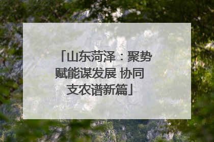 山东菏泽：聚势赋能谋发展 协同支农谱新篇