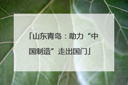 山东青岛：助力“中国制造”走出国门