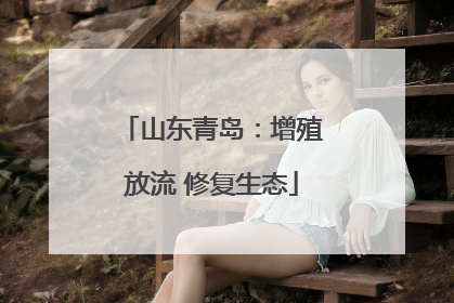 山东青岛：增殖放流 修复生态
