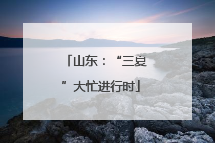 山东：“三夏”大忙进行时