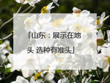 山东：展示在地头 选种有准头